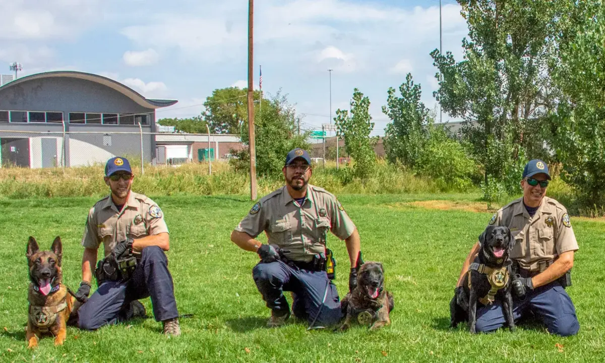 Colorado Wildlife Team Uses Trained Dogs