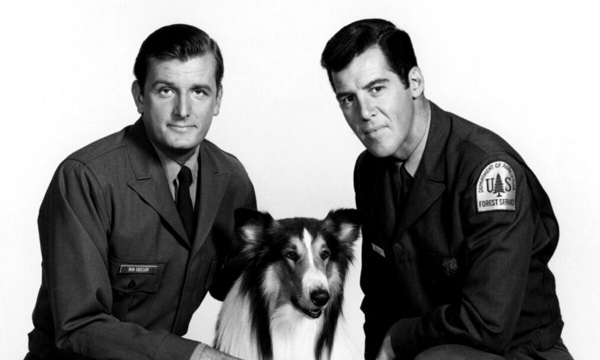 Actor Jack De Mave, Beloved Star of ‘Lassie’ and ‘Mary Tyler Moore,’ Passes Away at 91