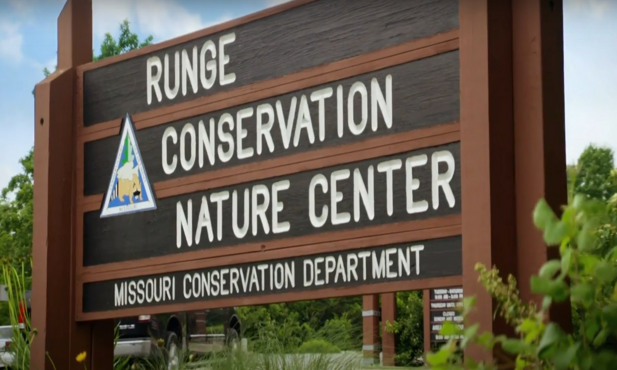 Discover the Outdoors Volunteer with Runge Conservation Center