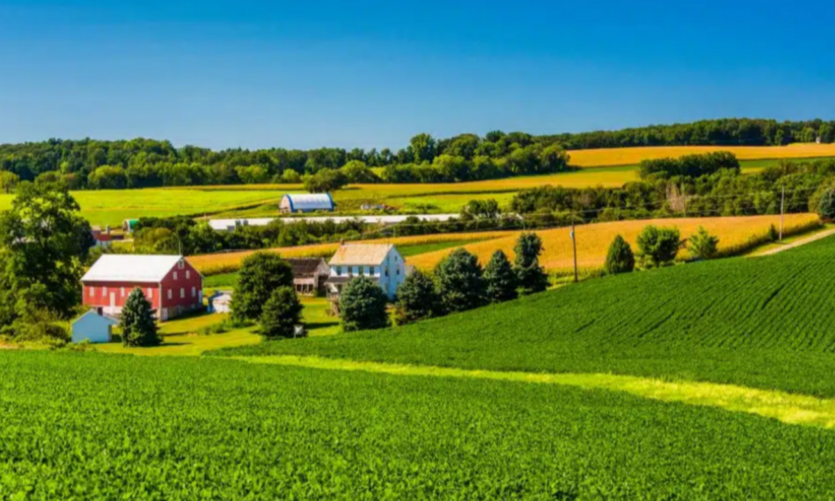 Rural Pennsylvania Faces Decline as Philly Region Sees Strong Population Growth