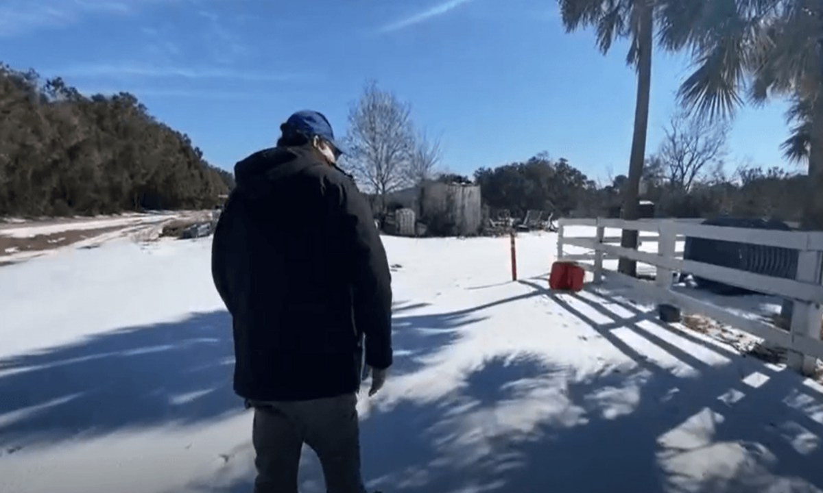 South Carolina Winter Storm Devastates Local Farm, Killing Livestock