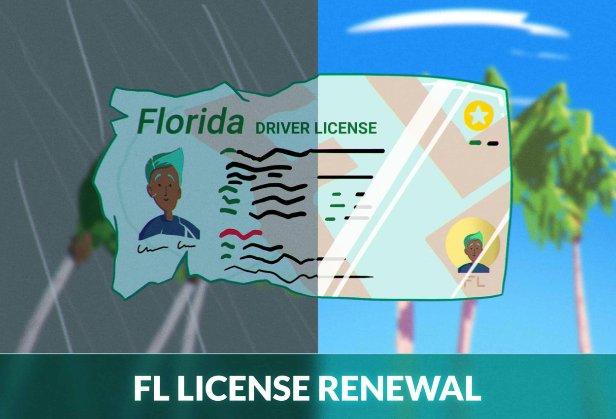 Driver’s License Renewals in Florida: Latest Requirements and Rules for Drivers