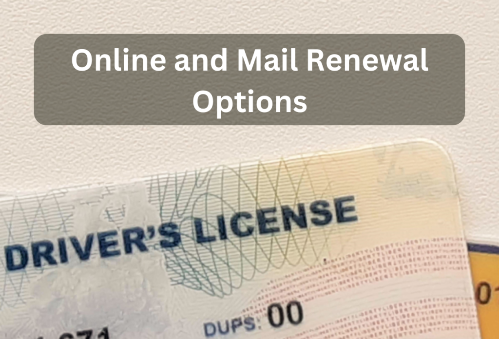 Online and Mail Renewal Options