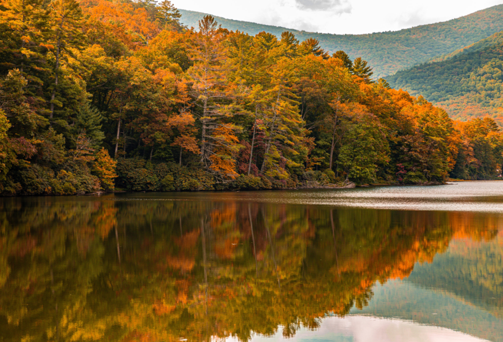 1. North Georgia Mountains – Natural Protection