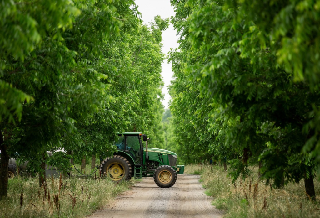 2. South Georgia Farmlands – Remote and Self-Sustaining