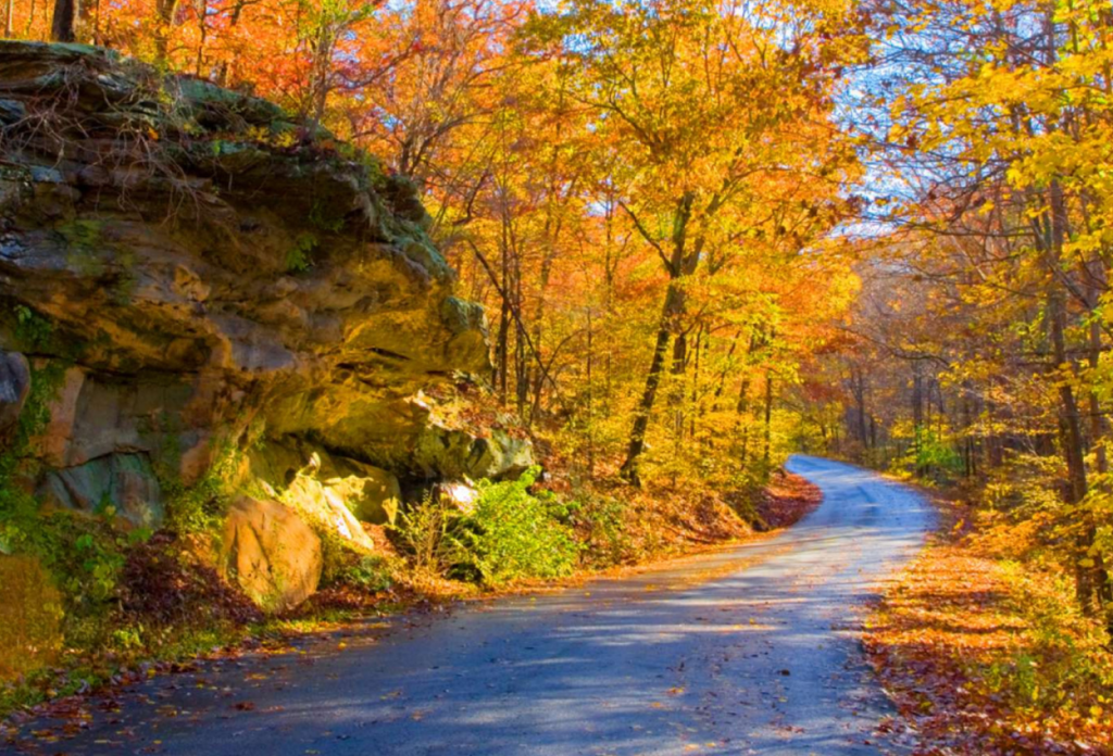 Southern Illinois (Shawnee National Forest Region)