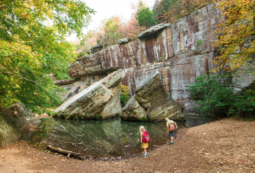 Deep Forests of Shawnee National Forest