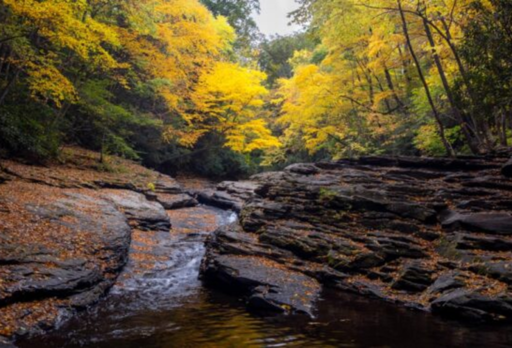 Laurel Highlands