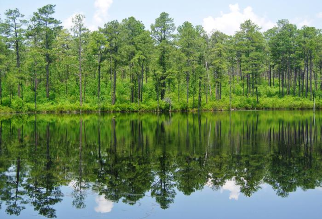 Sandhills Region (South-Central North Carolina)