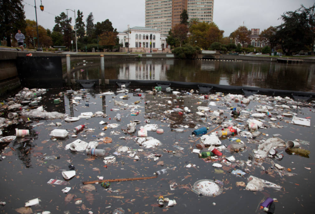 The Disgusting Image of Oakland